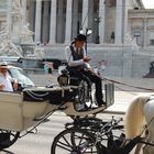 Fiakerfahren in Wien