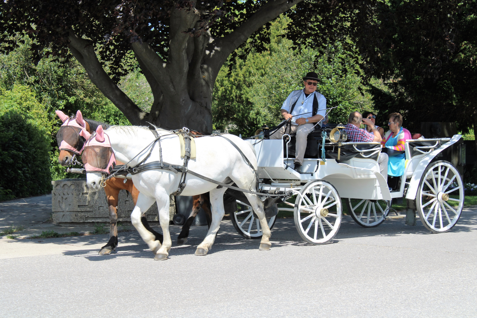 Fiakerfahrt in Wien