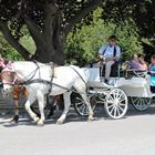 Fiakerfahrt in Wien