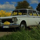 Fiat 1500 familiare Bj 66