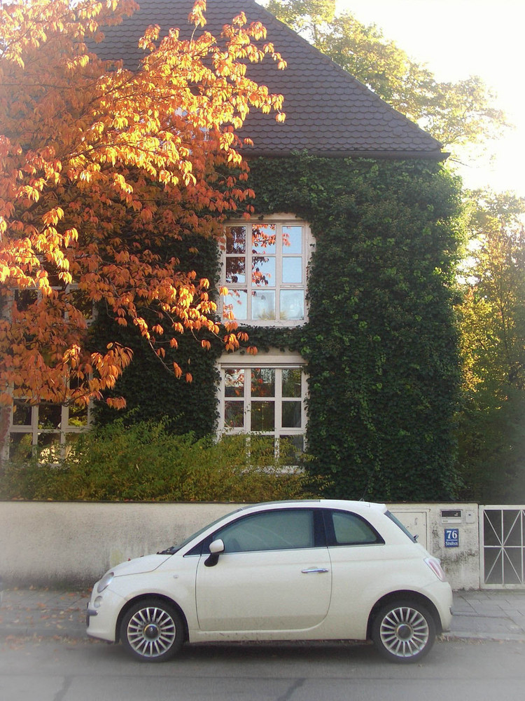 fiat 500 an einem herbstmorgen