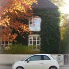 fiat 500 an einem herbstmorgen