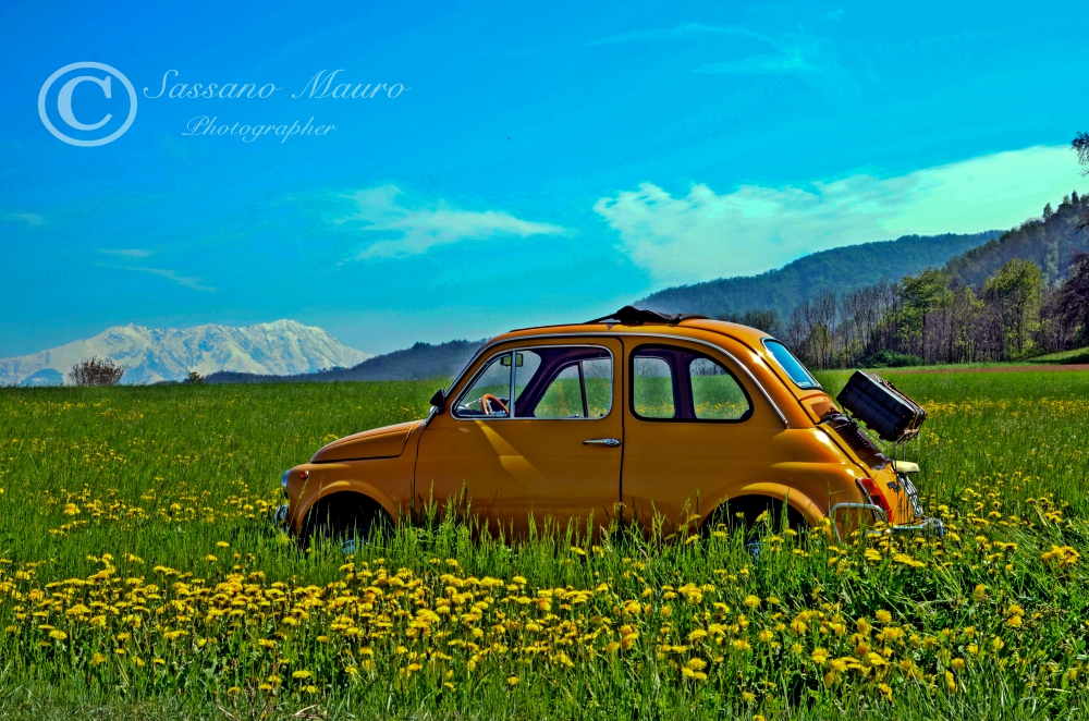 Fiat 500 in camporella