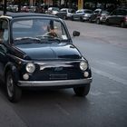 Fiat 500 in seinem Habitat