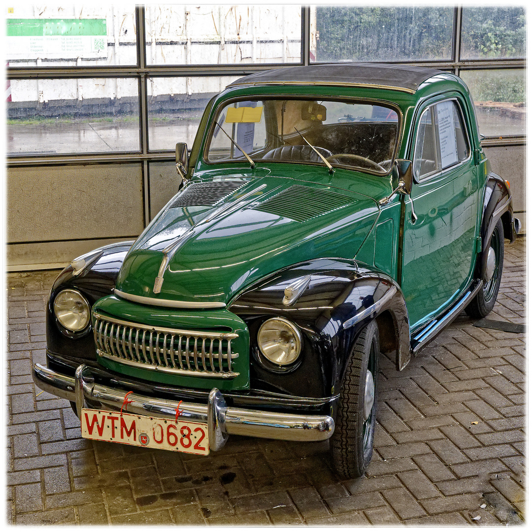 Fiat 500 Sammlung (2)