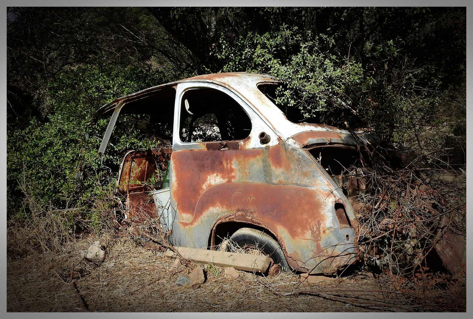 FIAT 600 MULTIPLA