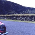 FIAT 850 Spider 1971 in Kerry.