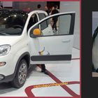 Fiat Panda 4×4 Antartica