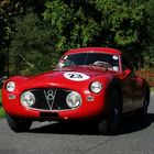 Fiat V8, Rallye Historique