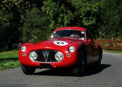 Fiat V8, Rallye Historique