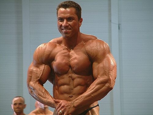 FIBO 2003