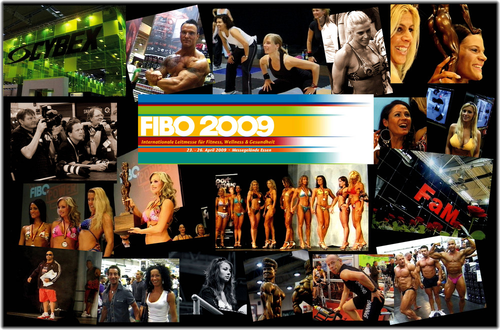 Fibo 2009