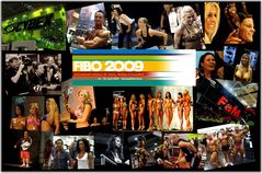 Fibo 2009