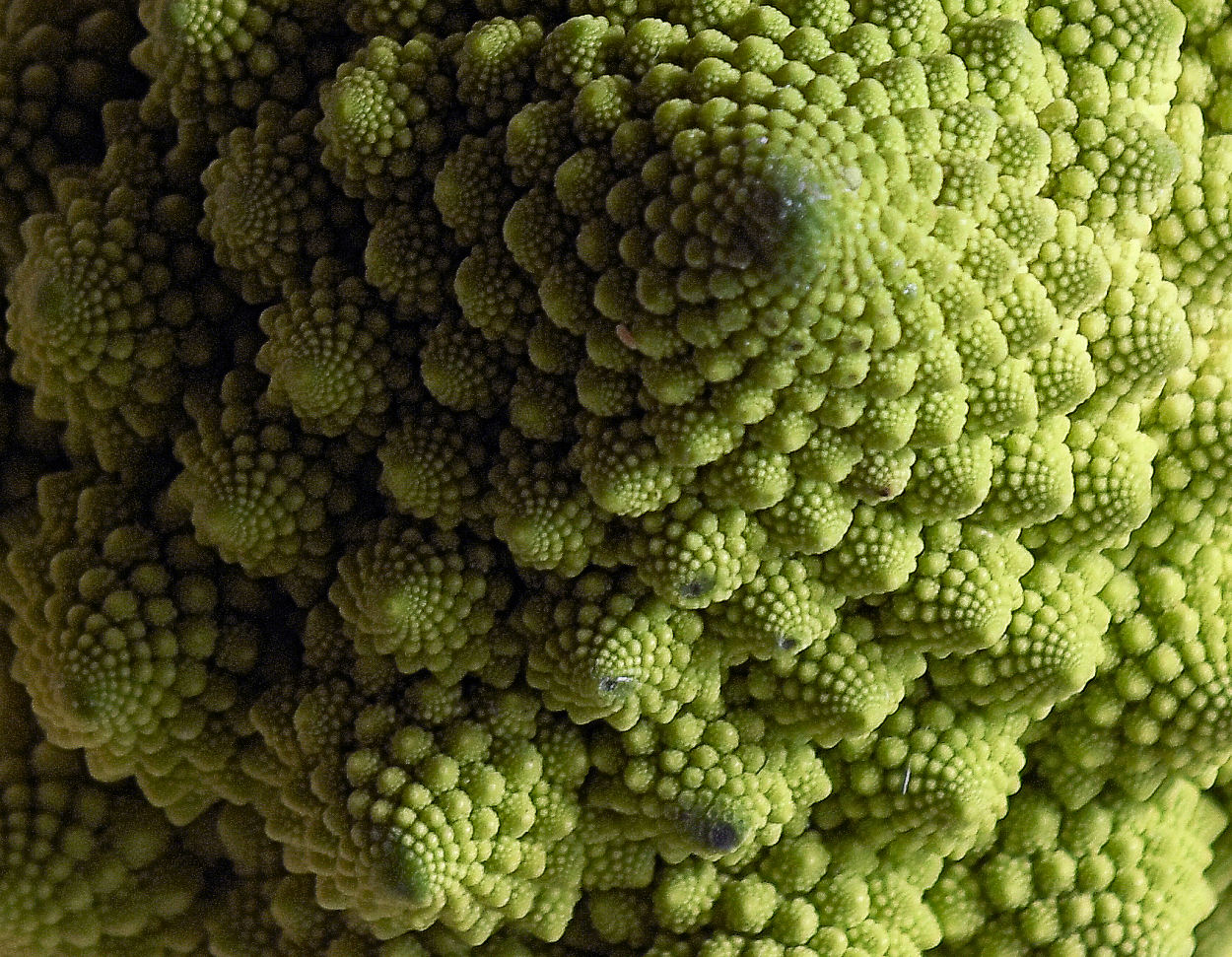 Fibonacci Gemüse