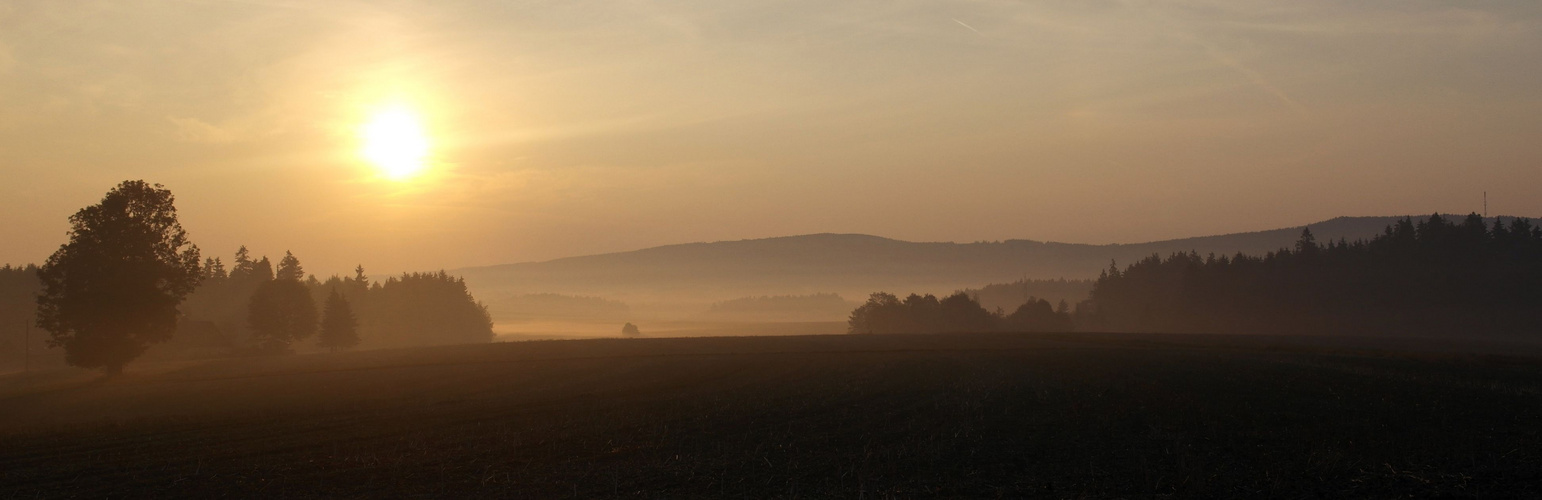 Fichelgebirgspanorama am Morgen