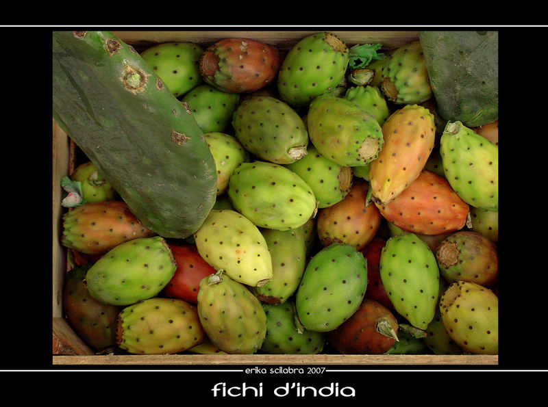 fichi d'india