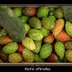 fichi d'india