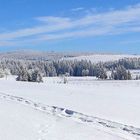 Fichtel- und Keilbergblick