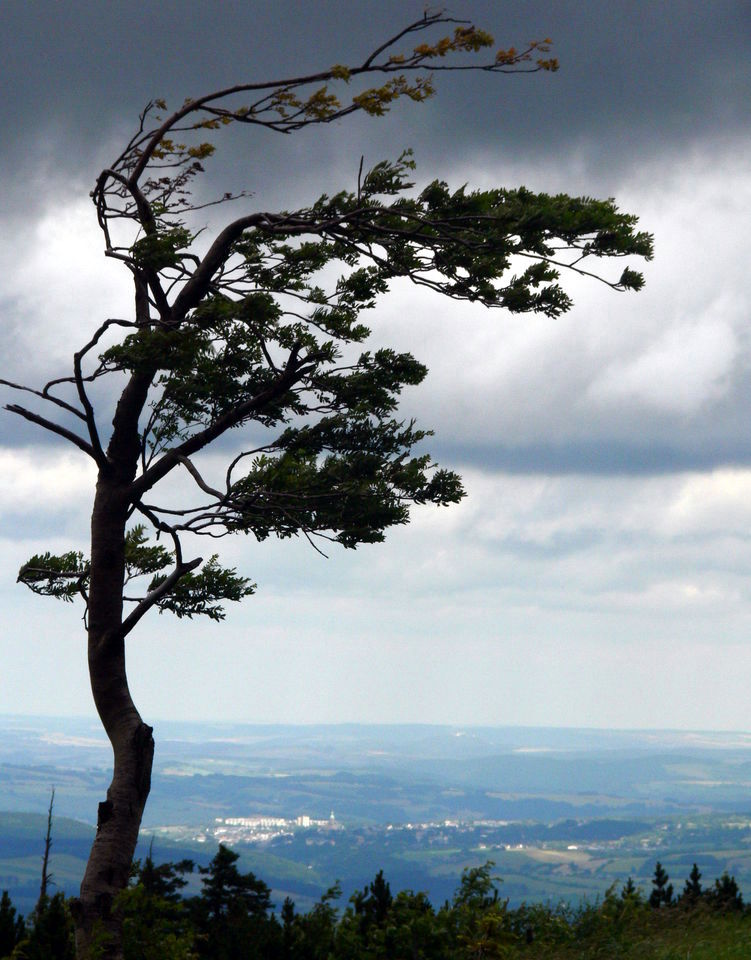 Fichtelberg