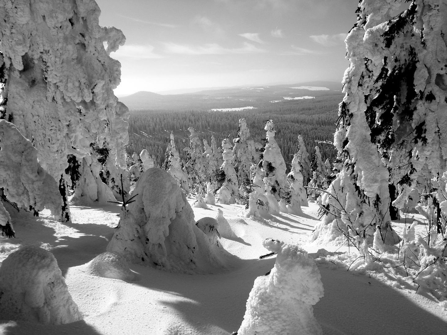 Fichtelberg 2013