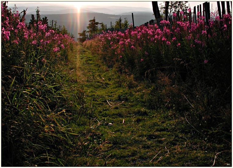 Fichtelberg - Blick ins Tal