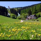 Fichtelberg im Sommer