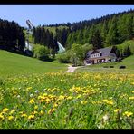 Fichtelberg im Sommer