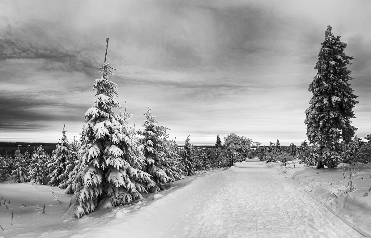 Fichtelberg Panorama1