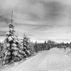 Fichtelberg Panorama1