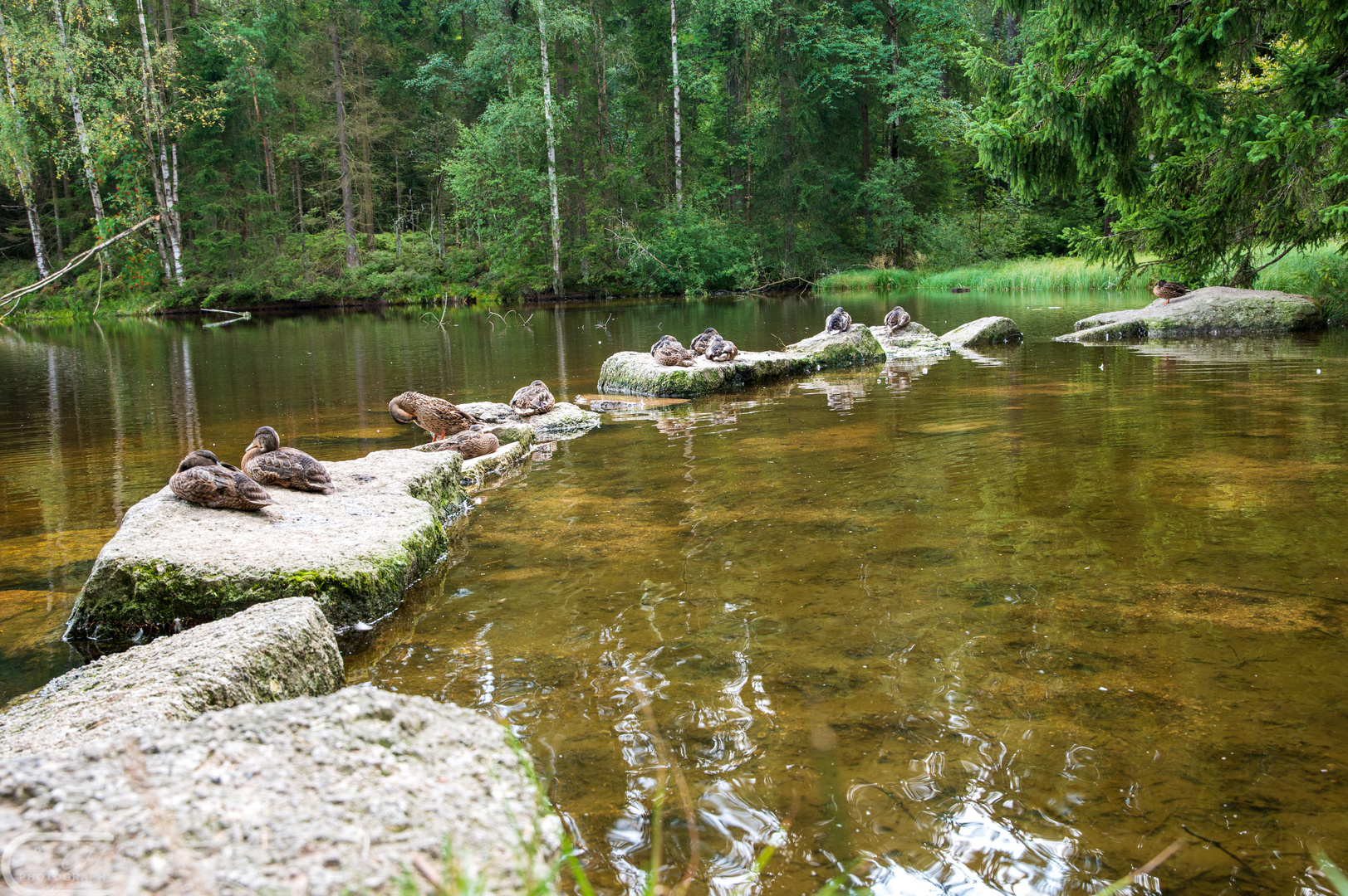 Fichtelgebirge (56 von 63)