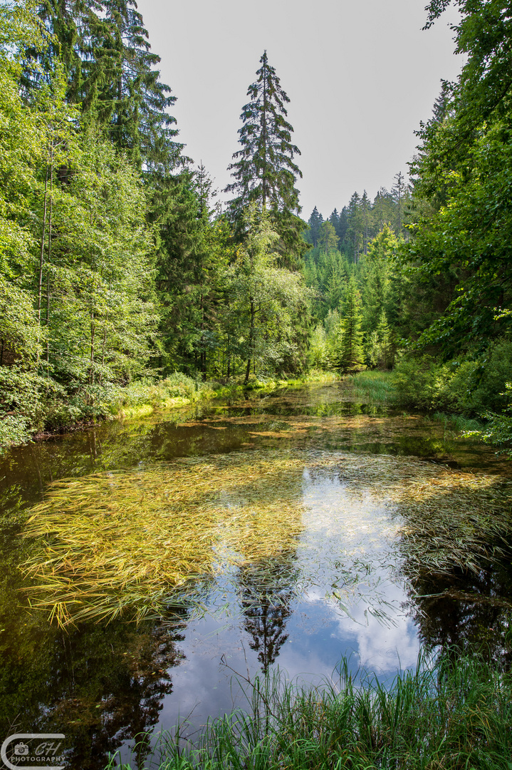 Fichtelgebirge (57 von 63)