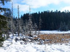 Fichtelgebirge - Am Fichtelseemoor