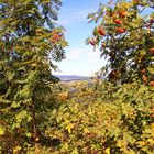 Fichtelgebirge Felsenlabyrinth Blick durch die Eberesche in die Ferne