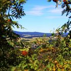 Fichtelgebirge Felsenlabyrinth Blick durch Eber Esche auf Landschaft