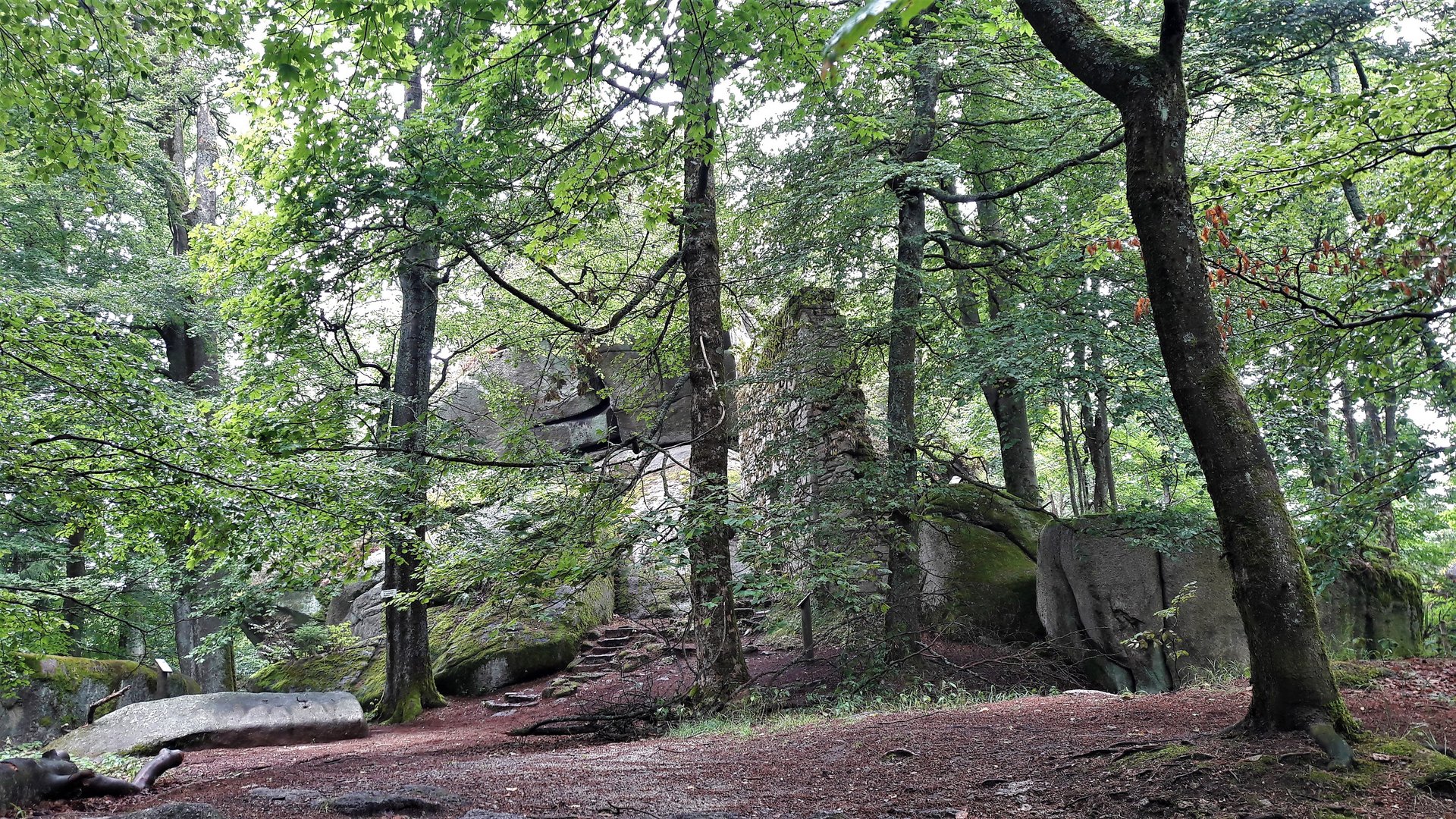 Fichtelgebirge : Großer Waldstein