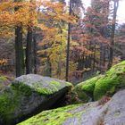 Fichtelgebirge: Herbst-Waldstein