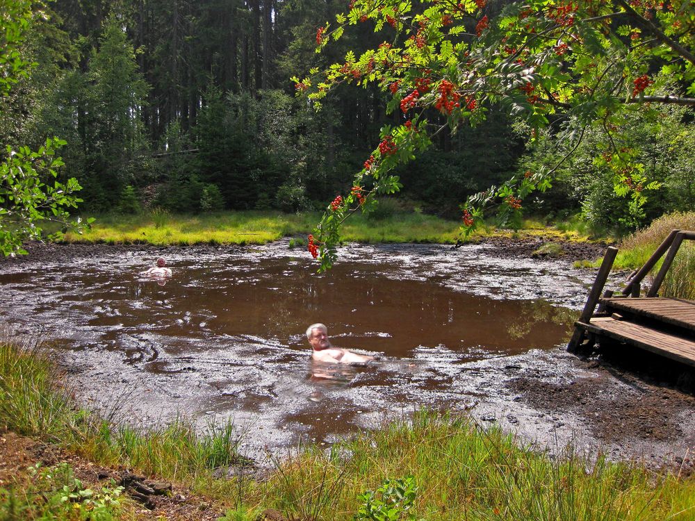 Fichtelgebirge: Moorbad Fleckl