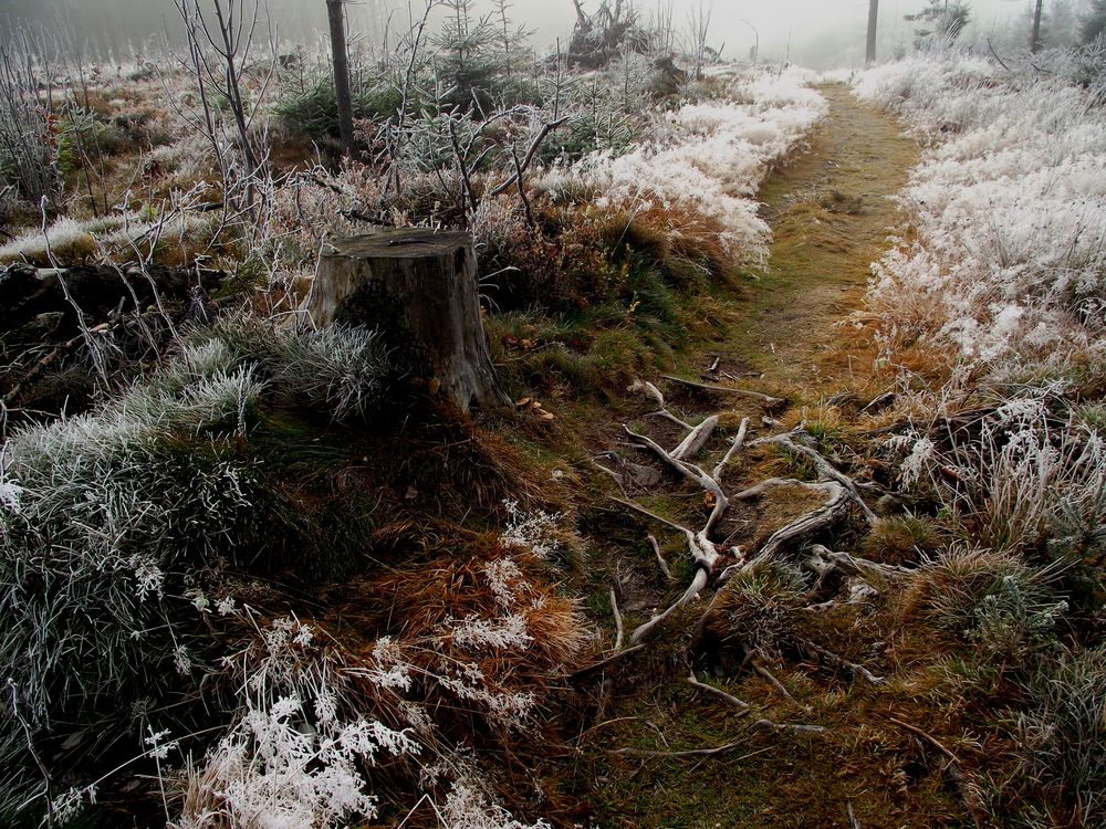 Fichtelgebirge: Rauhreifpfad am Waldstein