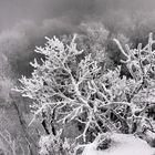 Fichtelgebirgs-Winter