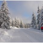 Fichtelgebirgs-Winter