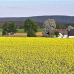 Fichtelgebirgspanorama im Frühling