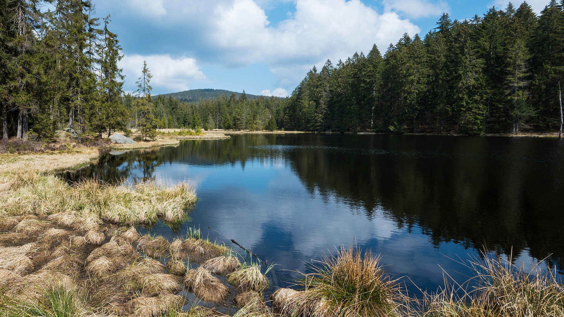 Fichtelsee 1