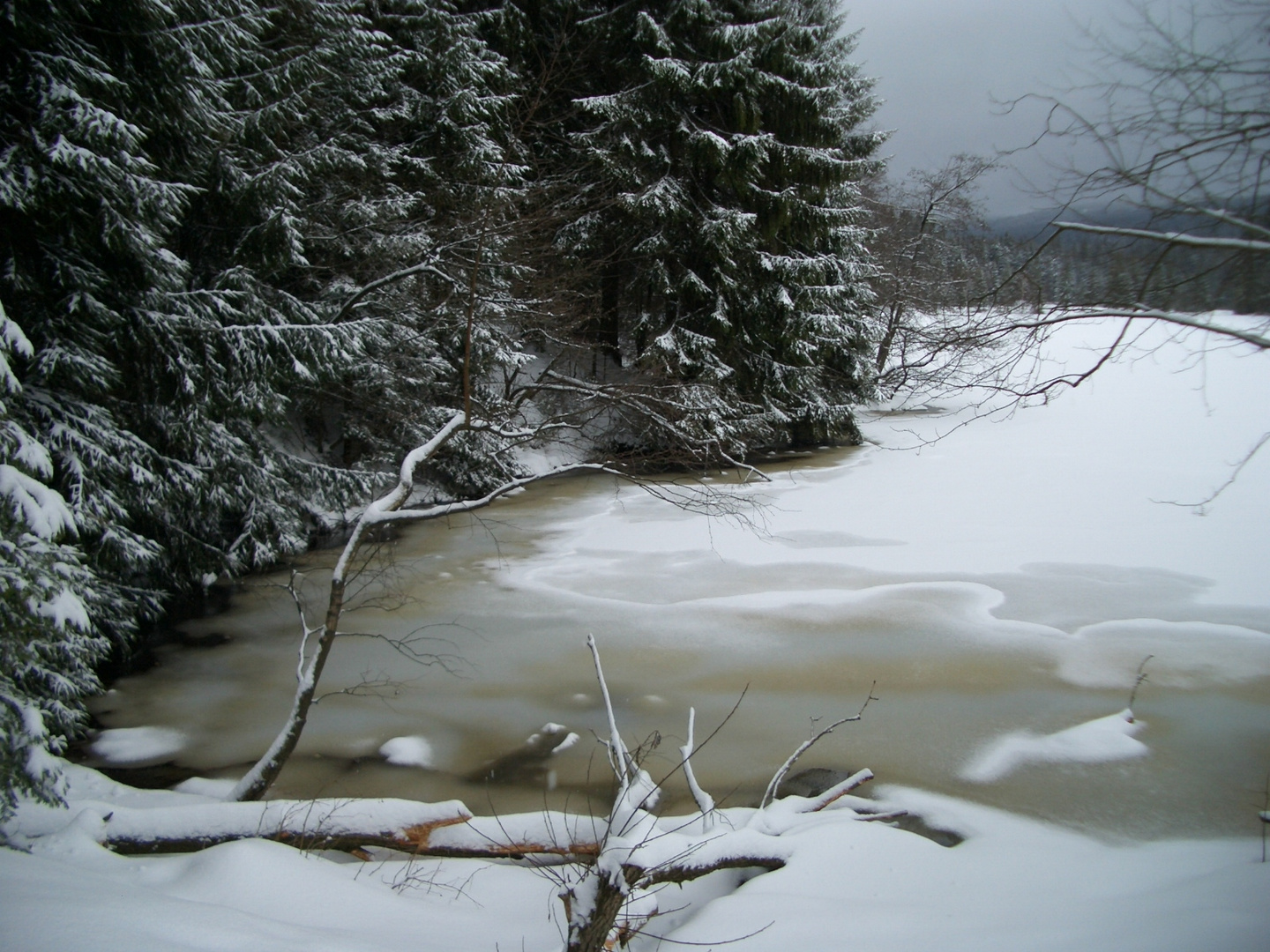 Fichtelsee im Winter