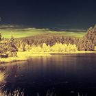 Fichtelsee/Bayern Pano