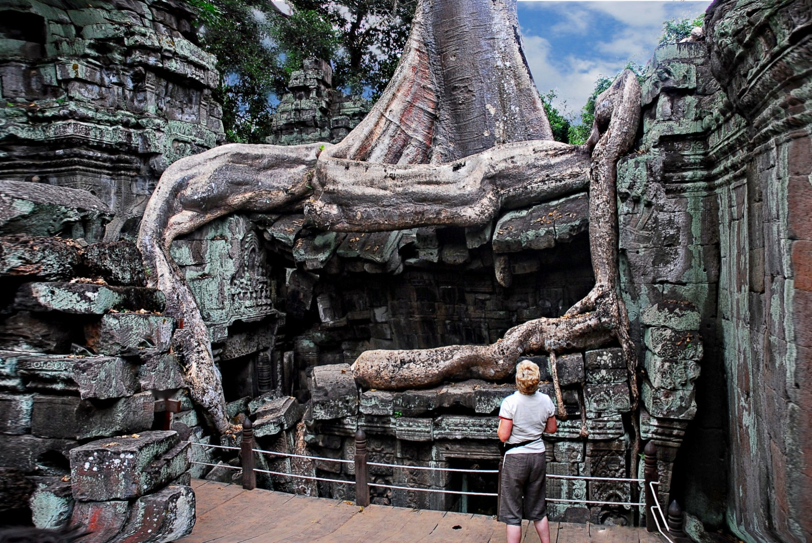 ficus étrangleur à ta prohm