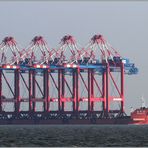 Fiddi vor Ort ... Zhen Hua 23 vor Wilhelmshaven