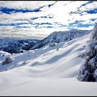 fieberfaunten-winterwonderland