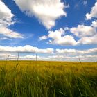 field and clouds