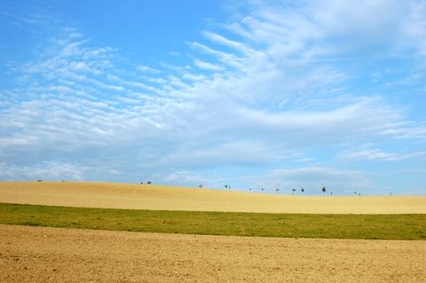 Field and Sky