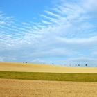 Field and Sky